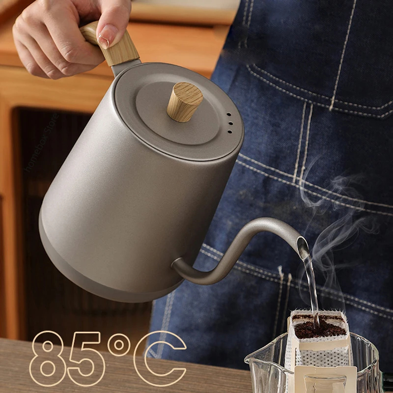 110V/220V 구즈넥 전기 주전자 800ml 핸드  - Electric Kettle Gooseneck 리뷰 및 가격