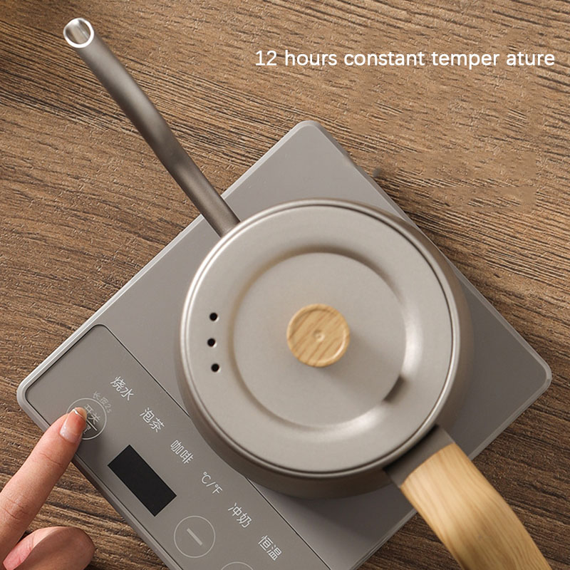 110v 220v 주전자 주전자 거위 목 슬림 입 온도 - Electric Kettle Gooseneck 리뷰 및 가격