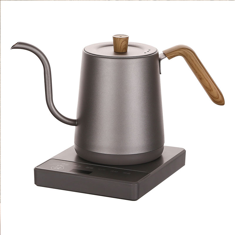 110v 220v 주전자 주전자 거위 목 슬림 입 온도 - Electric Kettle Gooseneck 리뷰 및 가격