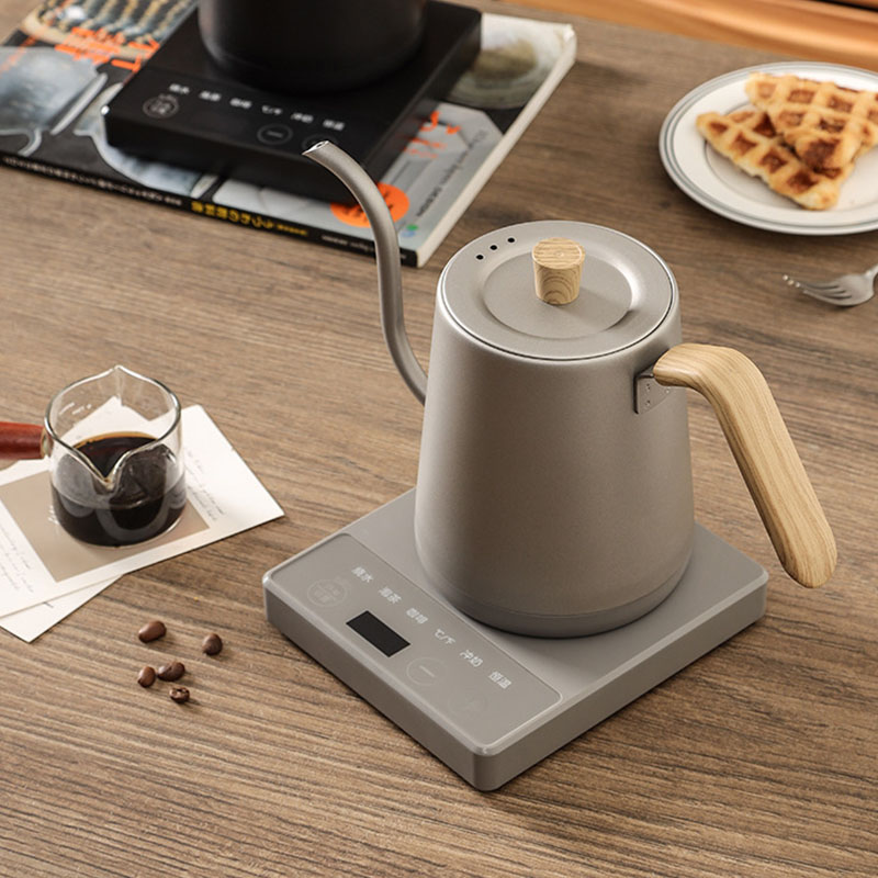 110v 220v 주전자 주전자 거위 목 슬림 입 온도 - Electric Kettle Gooseneck 리뷰 및 가격