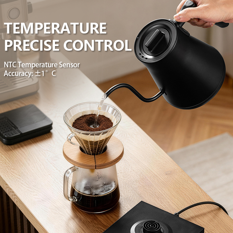 700ML 전기 구스넥 주전자 1000W 온도 조절 빠 - Electric Kettle Gooseneck 리뷰 및 가격