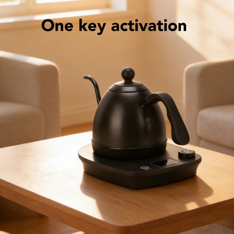 1000W 전기 구스넥 주전자 600ml 스테인리스 스 - Electric Kettle Gooseneck 리뷰 및 가격