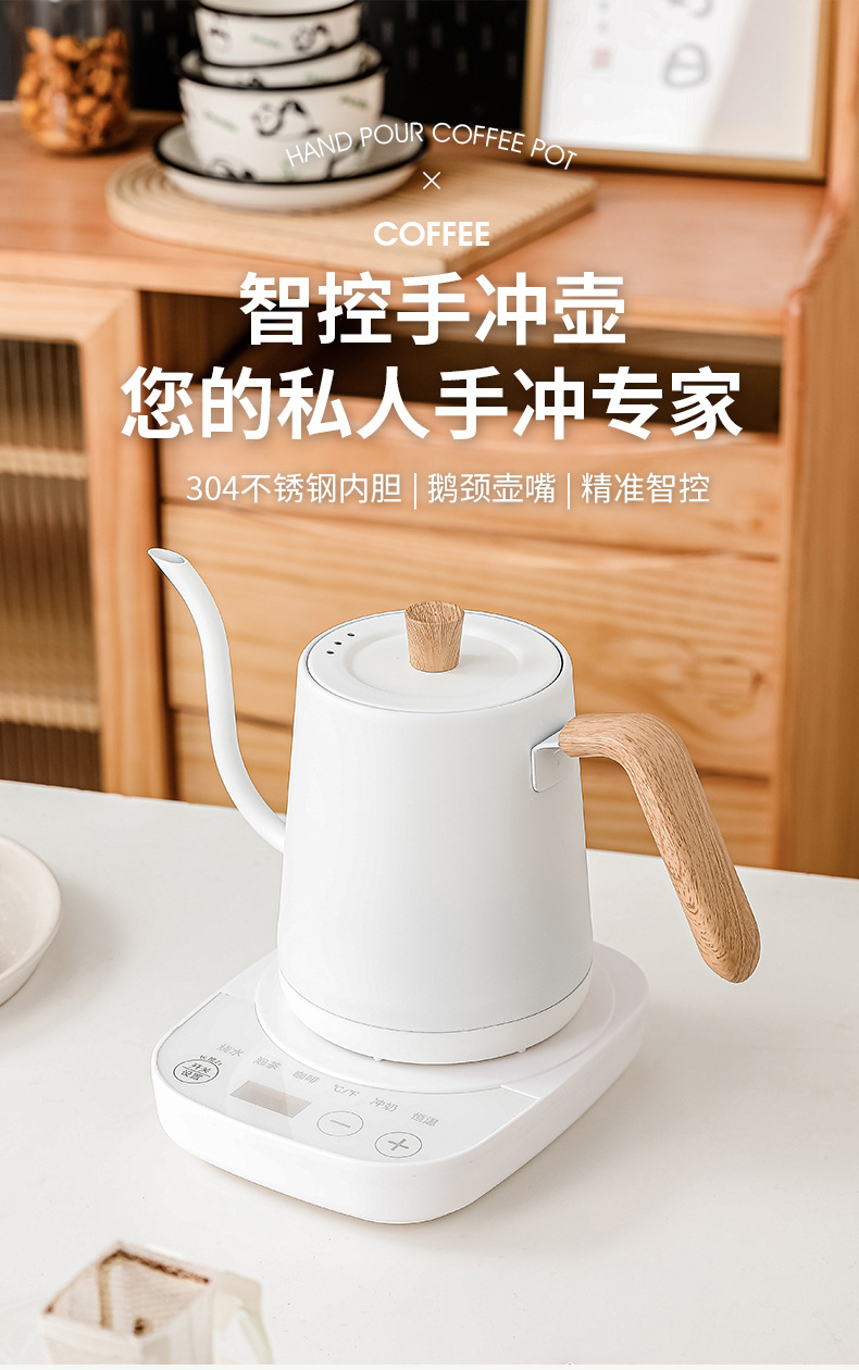 스테인리스 스틸 소형 온도 조절 전기 구스넥 주전자 ( - Electric Kettle Gooseneck 리뷰 및 가격