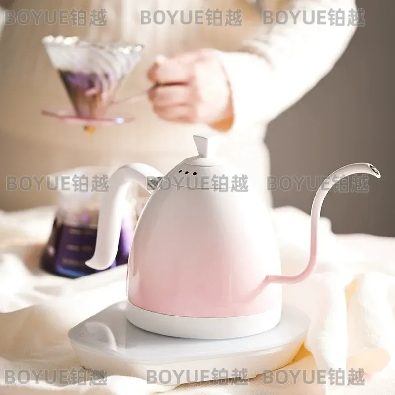 스테인리스 스틸 구스넥 주전자, 온도 조절 가능, 푸어 - Electric Kettle Gooseneck 리뷰 및 가격