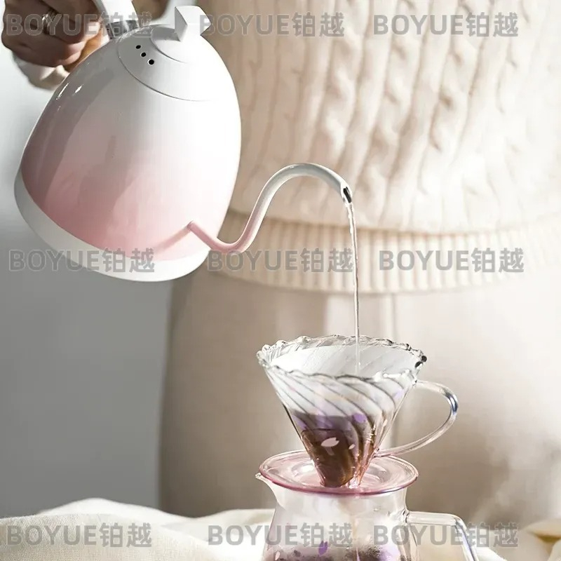 스테인리스 스틸 구스넥 주전자, 온도 조절 가능, 푸어 - Electric Kettle Gooseneck 리뷰 및 가격